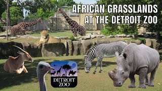 African Grasslands at the Detroit Zoo | Exhibit Tours Ep. 26