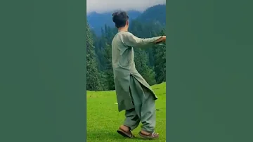 شايسته هلک او شاډانس کونى ډانس 