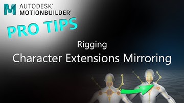 MotionBuilder ProTips - Rigging - Extensions Mirroring