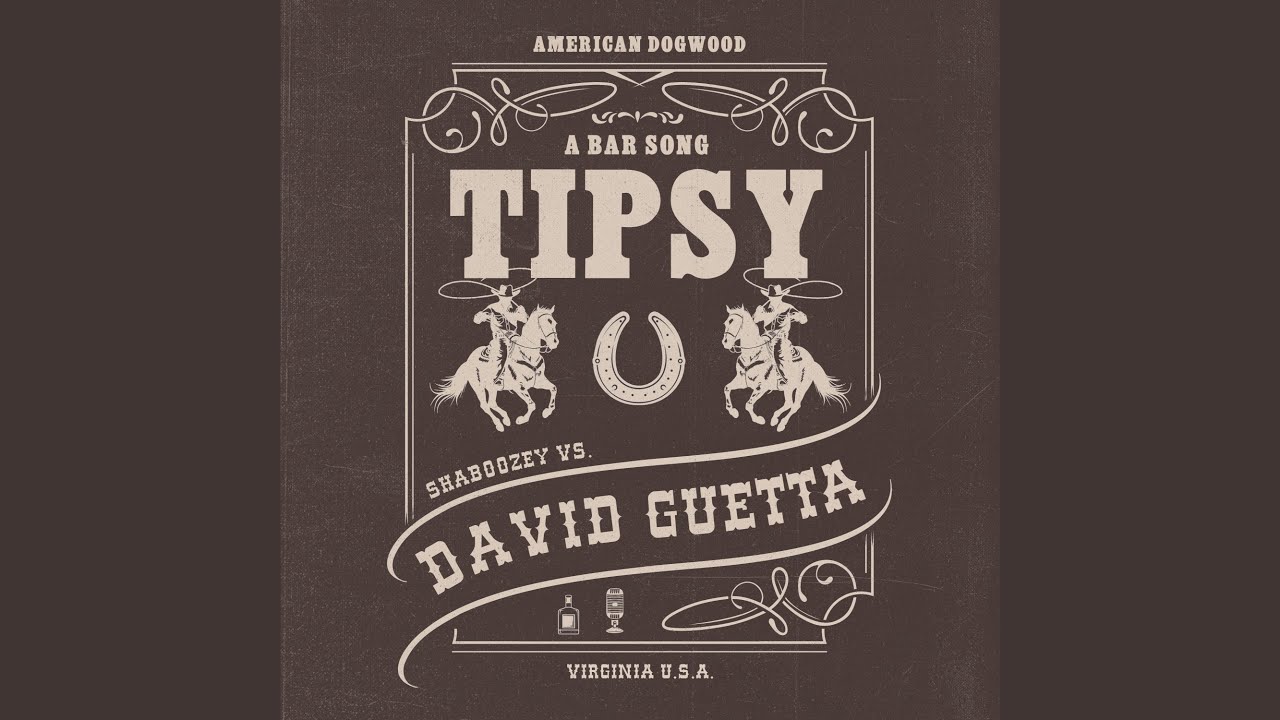 A Bar Song (Tipsy) (Remix)