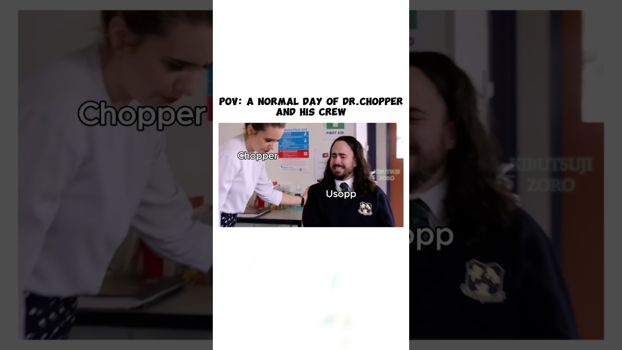 POV: A Normal Day of Dr.chopper and his Crew 