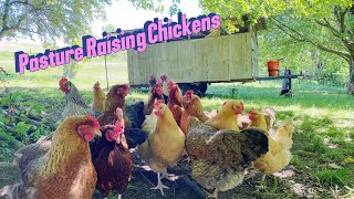 Putting Our Chickens Out On Pasture