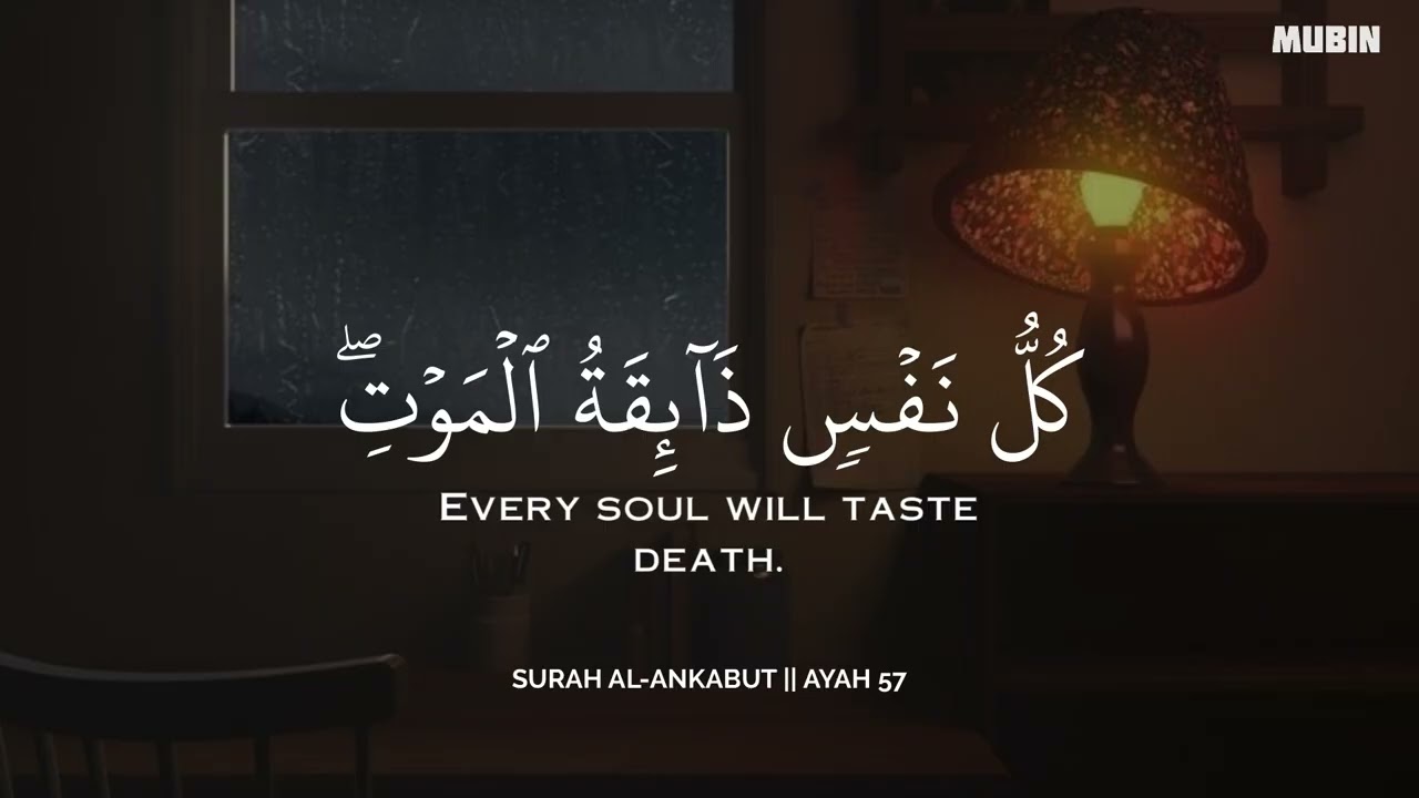 رح سمعك وقلبك بالقرآن❤️🎧 وأستمع لتلاوة هادئه بصوت محمد هشام | راحة نفسية😌 | Mohamed Hesham