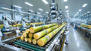 Inside a Modern Sugar Factory From Fresh Sugarcane to Pure Crystal Sugar Full Process