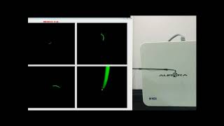 Continuum robots control and visualization