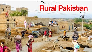 Village Life Pakistan Daily Work Routine | Rural Pakistan | Village Life Pakistan Punjab