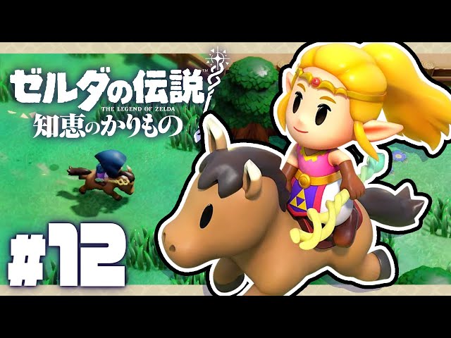 ゼルダの伝説 知恵のかりもの　プレイ済み カリモノを積み上げて気分はマイクラ！？『ゼルダの伝説 知恵の