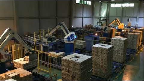 Fuji robot   3 in 3 out multi pickup palletizing box | Fuji Robotics | #roboticpalletizer