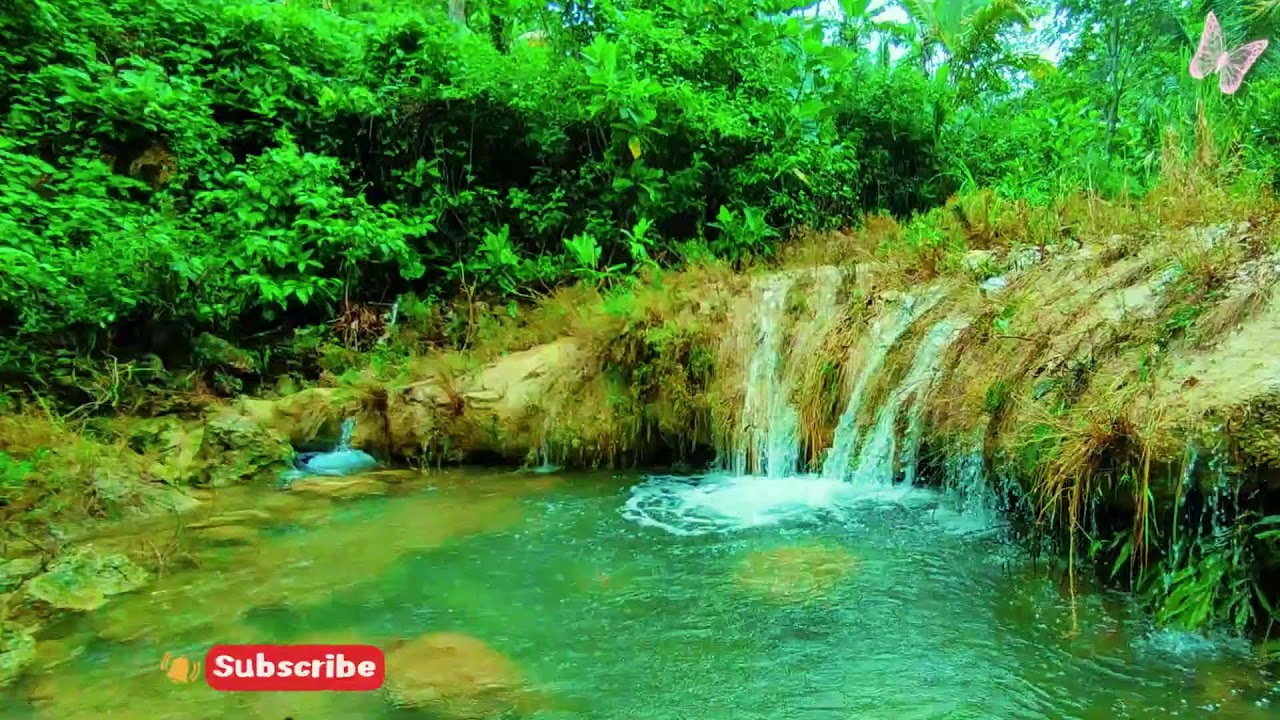 Stress Relief Music 🌿 Relaxing Sleep Music for Anxiety & Depression, Healing Calm Mind 21