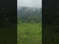 Agriculture land for sale in pali 8788035368