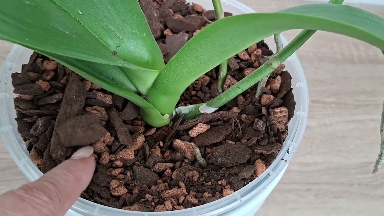 Отчёт по видео 