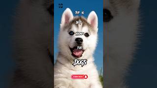 Top 10 Best Names for Dogs #names #dog #top screenshot 5