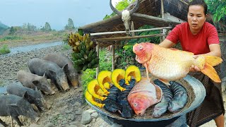 survival in the rainforest-found red fish with cat fish for cook &amp; give to pets HD