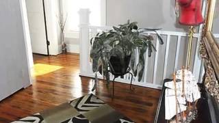 27 Johnson Ave video tour