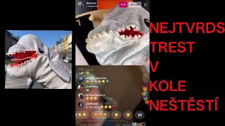 NEJTVRDŠÍ TREST V KOLE NEŠTĚSTÍ!! (oholila si obočí)