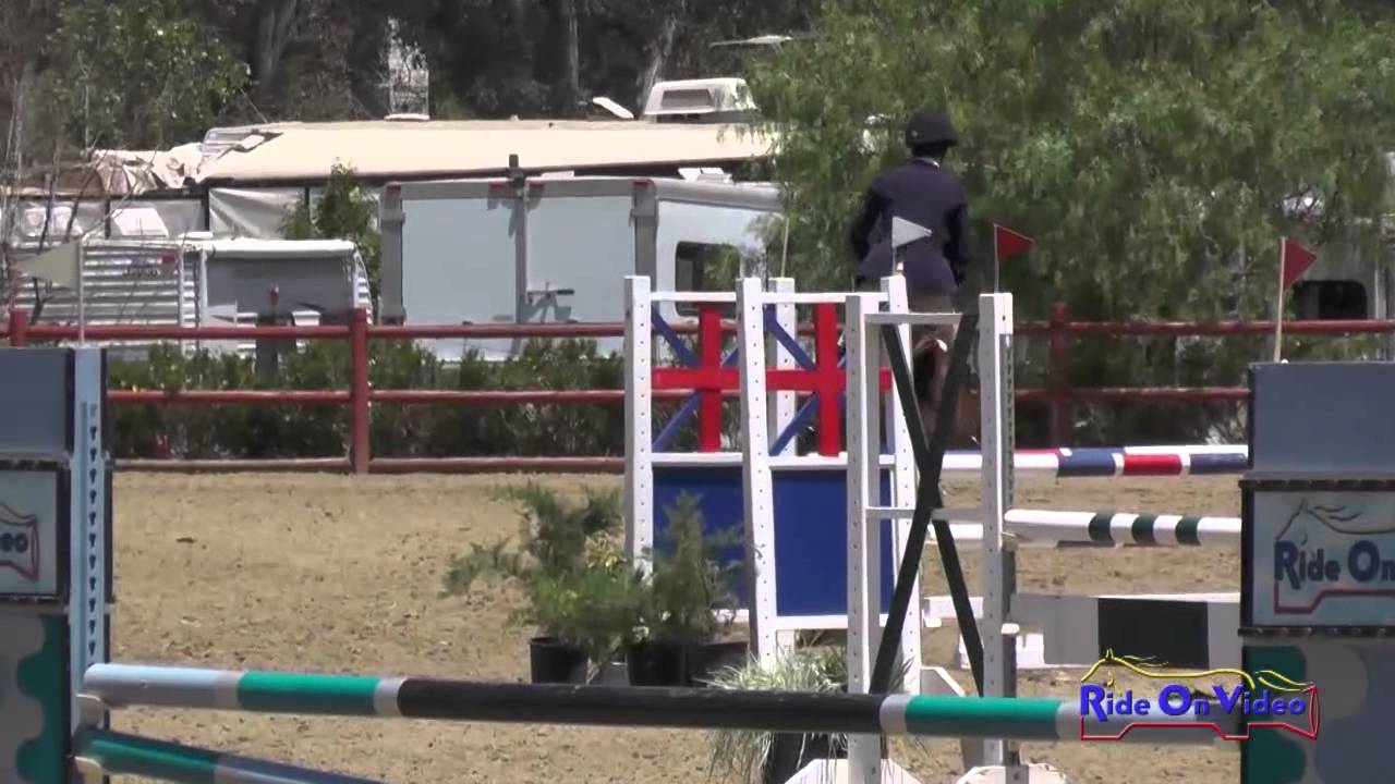 horseshoe bend 151S Marieke Kirkman on Sweepstakes Preliminary Rider Show Jumping Copper Meadows June 2014