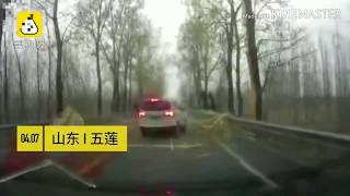 Lightning splits a tree in half!!!