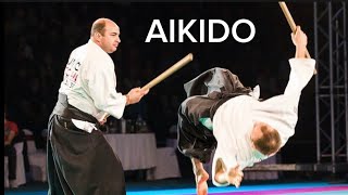 EXPLOSIVE Aikido demonstration - best self defense techniques