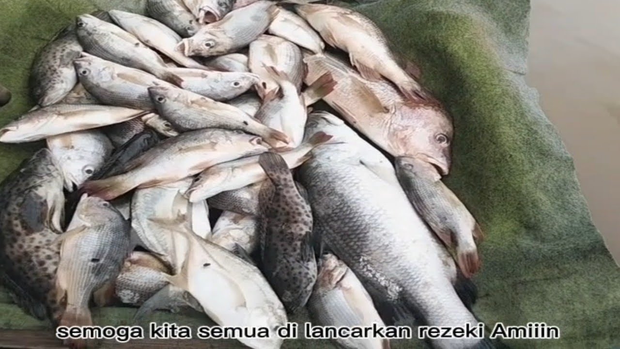 Walaupun berusaha keras tapi tetap segitu hasilnya 