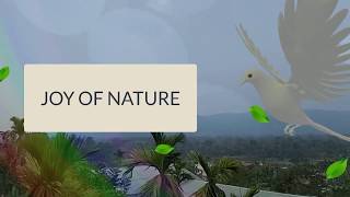My submission for Facebook Hackathon | Augmented Reality 2020