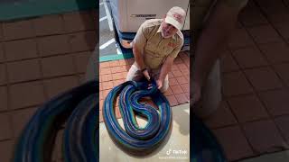 World most beautiful Rainbow reticulated python snake Net Worth