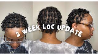 2 week starter loc update