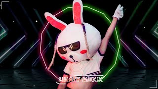 Dynasty Remix - MIIA ​(Sinath Muxix) Hot TikTok Viral Dance 2023 〖ENG SUB〗