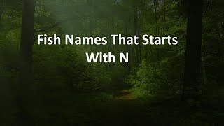 Fish Names That Starts With N