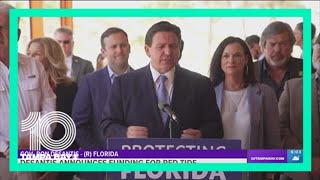 DeSantis announces $14 million toward red tide mitigation