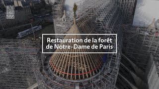 Restauration de la 'forêt' de NotreDame de Paris