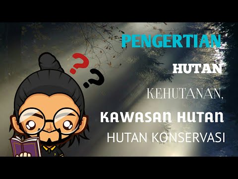 Video: Perbedaan Antara Hutan Dan Hutan