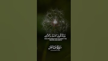 استمع الى تلاوة خاشعة وراحة نفسية #قرآن #القرآن_الكريم #quran #قران_كريم #راحة_نفسية #تلاوة_خاشعة