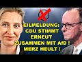 EIL: CDU STIMMT ERNEUT mit AfD! Merz heult!