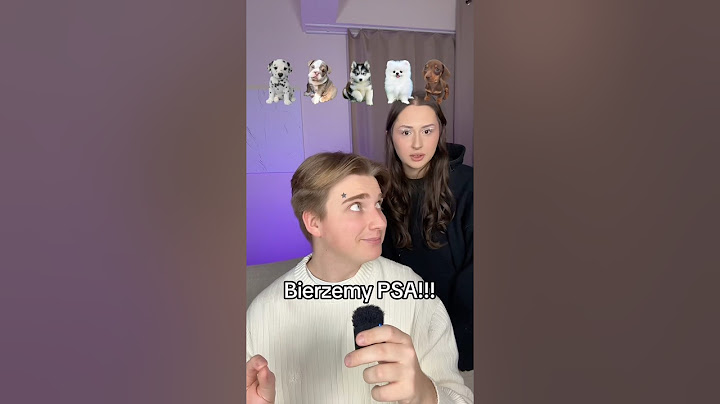 jakiego PSA będziemy MIEĆ 🤯🐶