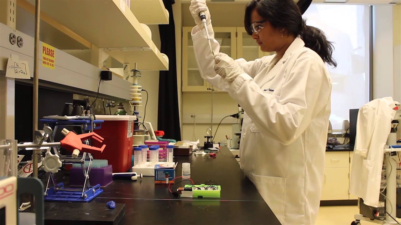 UCSD Senior Design 2015 - Group 7 - Blood Buddy - Red Blood Cell Quality Analysis