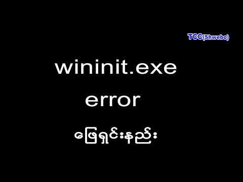 wininit.exe error