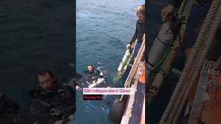 Download Lagu SSI Independent Diver Course: Explore the Ocean with freedom #shorts MP3 Download Lagu SSI Independent Diver Course: Explore the Ocean with freedom #shorts MP3
