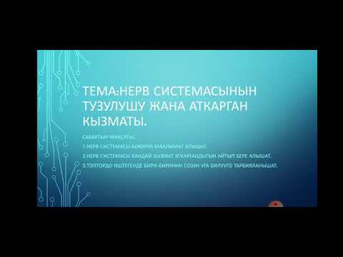 Вегетативдик нерв системасы 8-класс