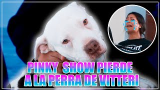 Pinky Show Pierde A Kalanie Vitteri Ponce