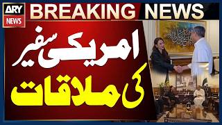 US Ambassador Natalie Baker meets Federal Interior Minister Mohsin Naqvi