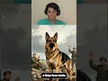 O Cachorro Ganhou Medalha