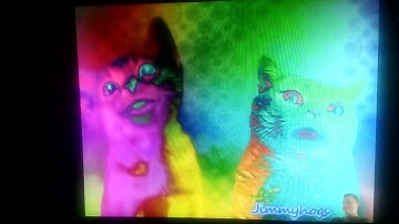 Preview 2 Numa Cat Effects Invert color