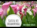 Цветок каллы из фоамирана своими руками DIY мастеркласс