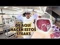 TODOS LOS CORTES QUE SACAMOS DEL INSIDE ROUND