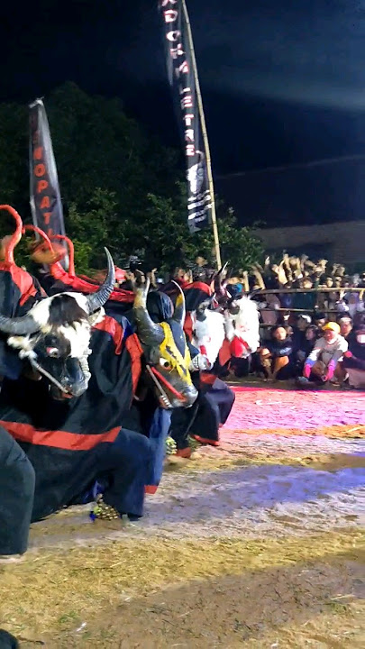 Download lagu Putra Mandala Lo Iki Weell #bantengan #putramandala #putramandalawisanggeni #shorts #short