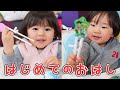 2歳児初めておはしを使ってみた！おはしデビューでうまくつかめるかな？【男女双子】