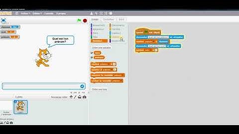 les variables dans scratch