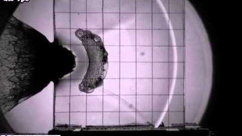 High-Speed Video Camera HPV-X2 – High Speed Collision of a Transparent Laminate with a Resin Sphere