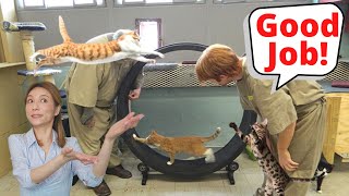 Ep9: Behind Bars to Blissful Homes: Non-Clicker Non-Training + Cat Prison Programs