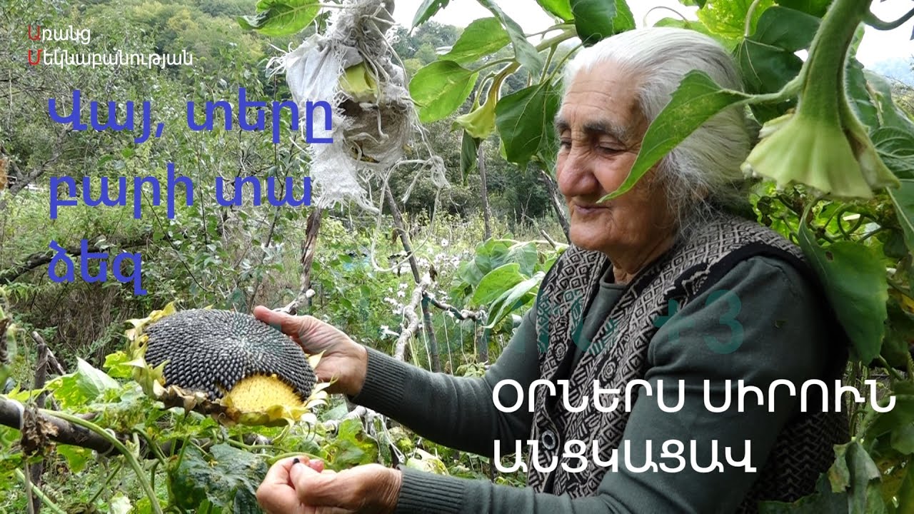 Ահնիձոր. համարյա «Դուք որ եկել չէիք, ես լեղացողը չէի»